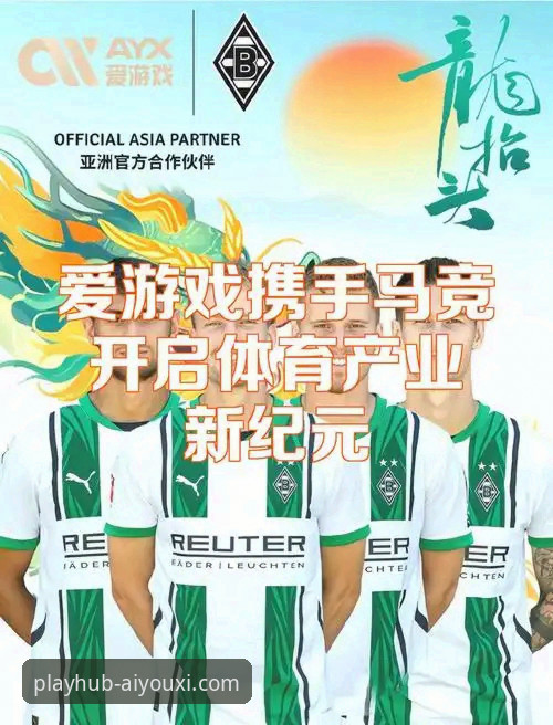 爱游戏体育平台最新官方正版详解与使用指南